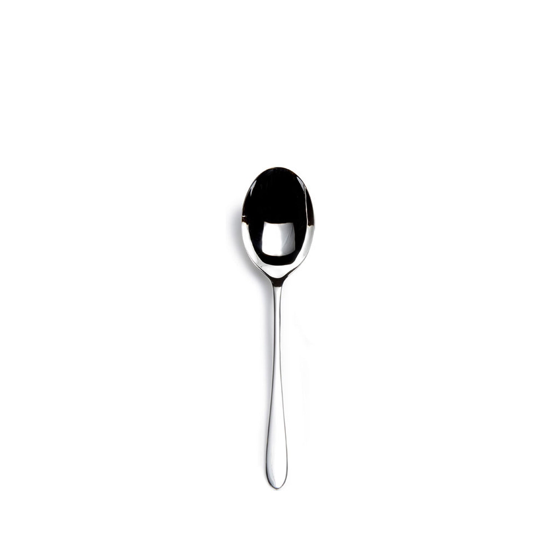 Pride Serving Spoon Zoom Image 1